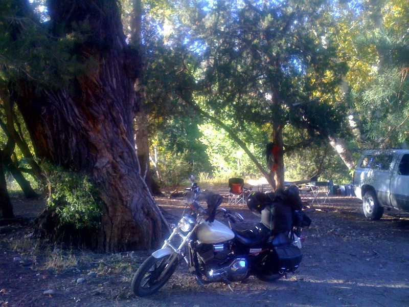Parked in the shade beneath a Sycamore tree, a REAL old-timer.