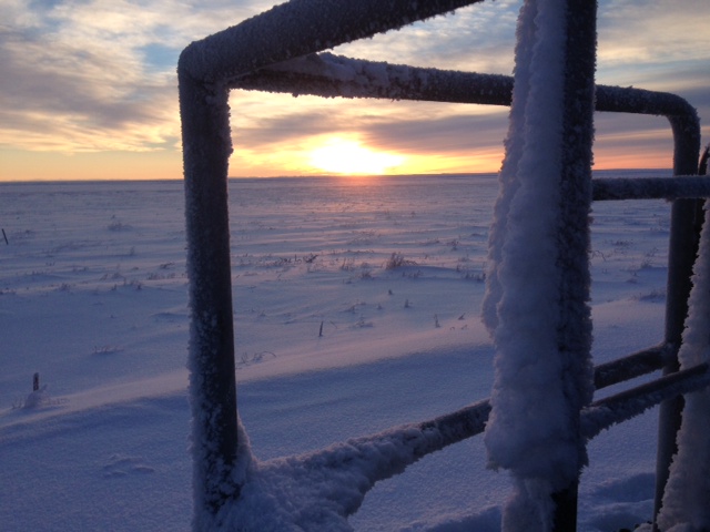 Mile 385 Dalton Hwy 11-02-13.JPG